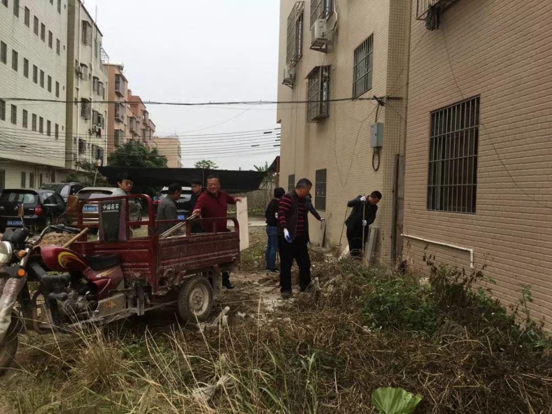 清洁村交通新动态，迈向便捷、绿色、智能的未来之路